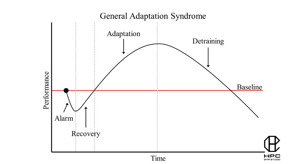 Periodization là gì?