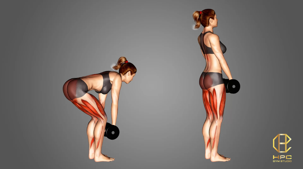 dumbbell-romanian-deadlift-la-gi